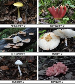 thumbimg